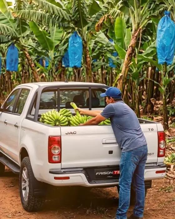 JAC Motors · Negocio