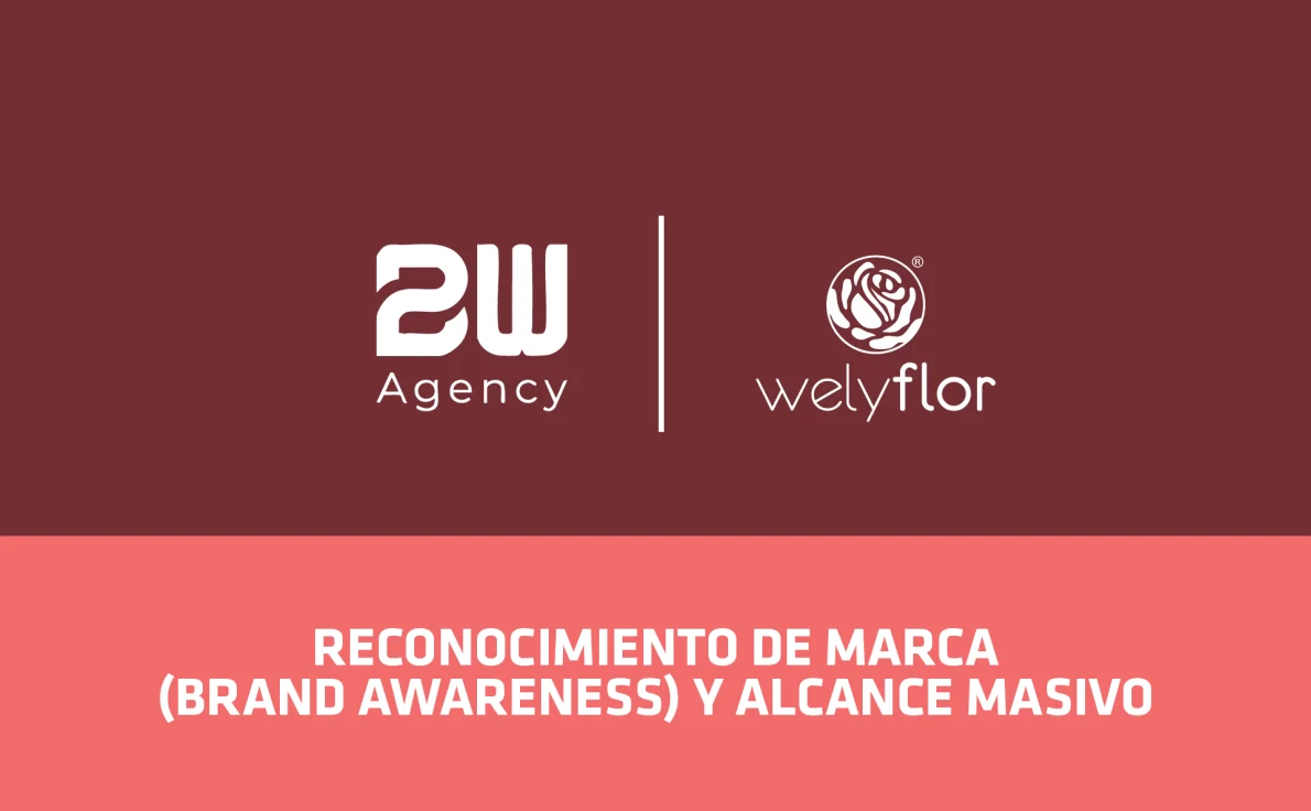 Portafolio BMW - B2W AGENCY